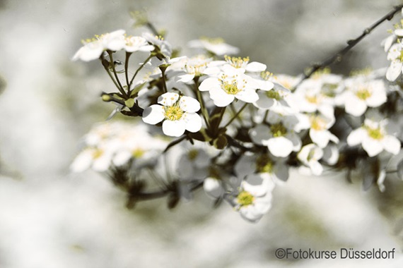 Natur Fotografieren lernen