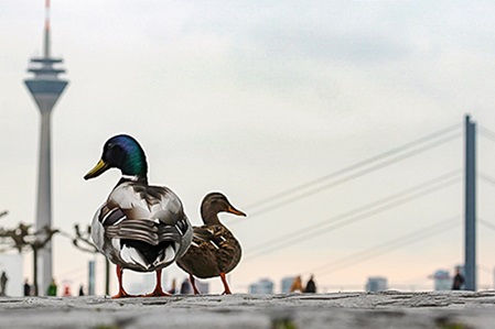 Fotopraxis in Düsseldorf von Fotokurse Düsselddorf