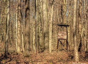 Fotografieren jeden Tag - Fotokurse