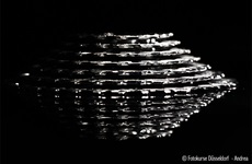 Makrofotografie - Fotokurse Düsseldorf