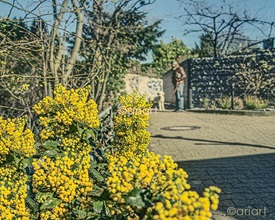 Fotospaziergang mit Bonny