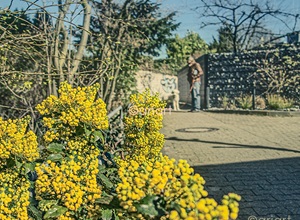 Fotospaziergang mit Bonny