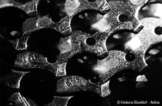 Makrofotografie - Fotokurse Düsseldorf