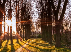 Fototagebuch- fotografieren üben