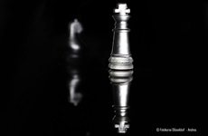 Makrofotografie - Fotokurse Düsseldorf
