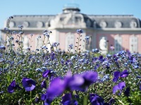 Fotopraxis - Fotokurse Düsseldorf