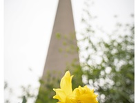 Fotopraxis - Fotokurse Düsseldorf