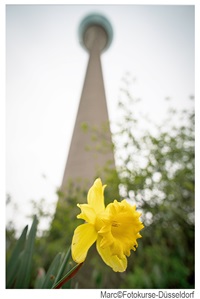 Fotopraxis - Fotokurse Düsseldorf