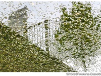 Fotopraxis - Fotokurse Düsseldorf