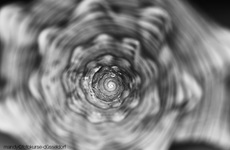 Detail -Makrofotografie - Fotokurse Düsseldorf