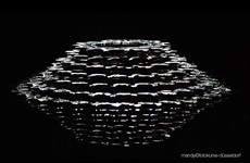 Makrofotografie - Fotokurse Düsseldorf